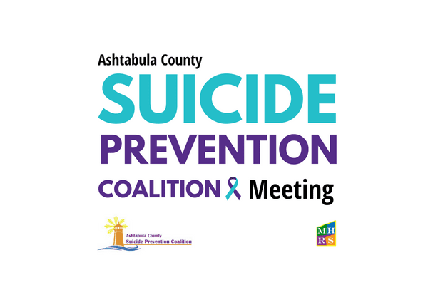 Image of suicide prevention coalition meeting