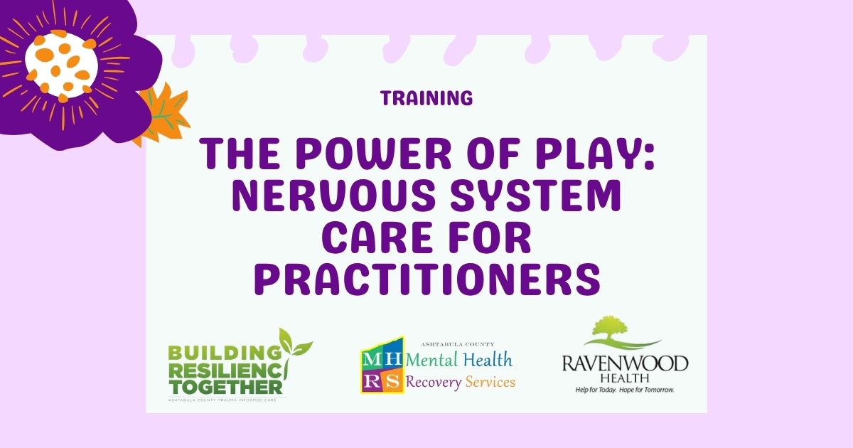 The power of play: nervous system care training